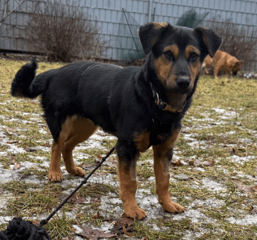 2026 01 23 18 28 03 Posteingang Sina.Rieke Kroeger@oetker.com Outlook