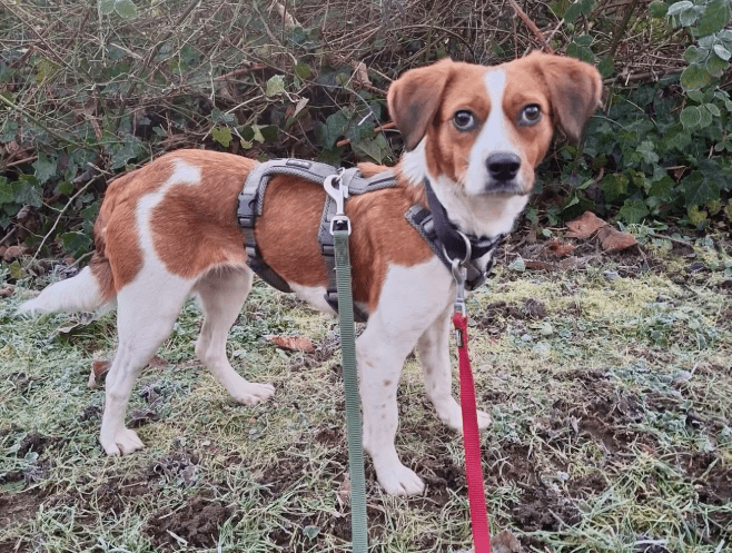 2026 01 23 18 29 18 Posteingang Sina.Rieke Kroeger@oetker.com Outlook Kopie