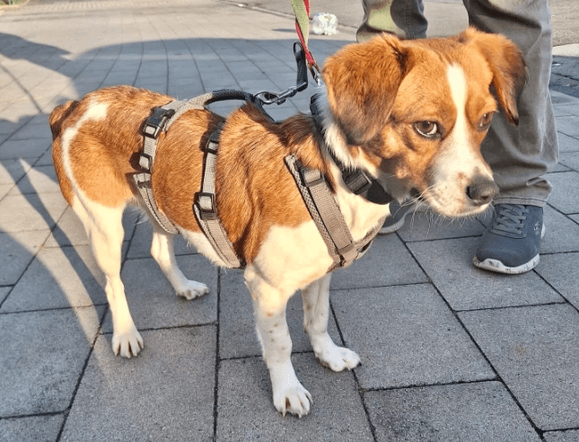 2026 01 23 18 29 26 Posteingang Sina.Rieke Kroeger@oetker.com Outlook