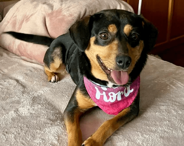 2026 01 23 18 37 15 Posteingang Sina.Rieke Kroeger@oetker.com Outlook