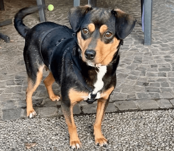 2026 01 23 18 37 19 Posteingang Sina.Rieke Kroeger@oetker.com Outlook