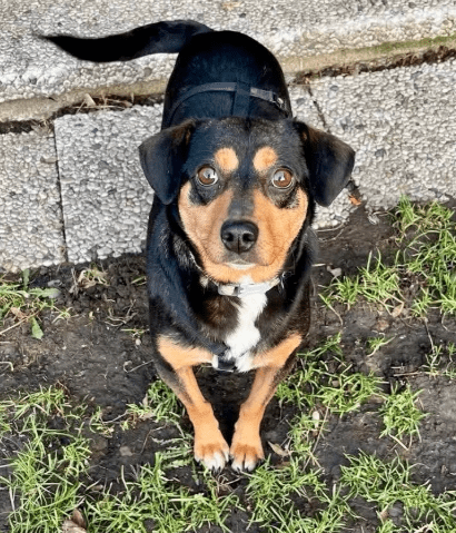 2026 01 23 18 37 26 Posteingang Sina.Rieke Kroeger@oetker.com Outlook