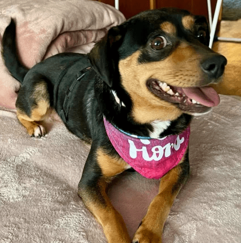 2026 01 23 18 37 32 Posteingang Sina.Rieke Kroeger@oetker.com Outlook