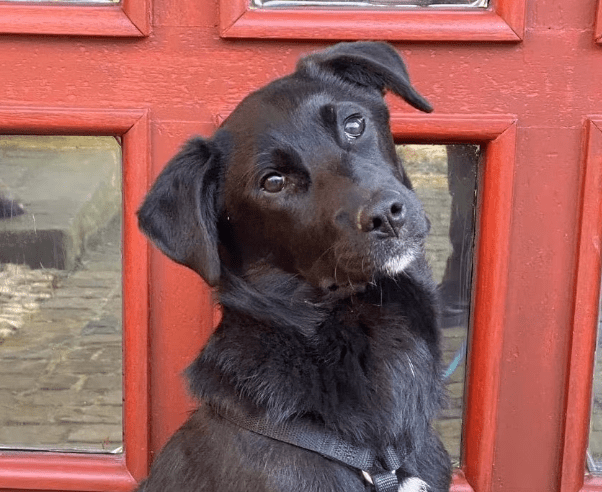 2026 01 23 18 39 11 Posteingang Sina.Rieke Kroeger@oetker.com Outlook