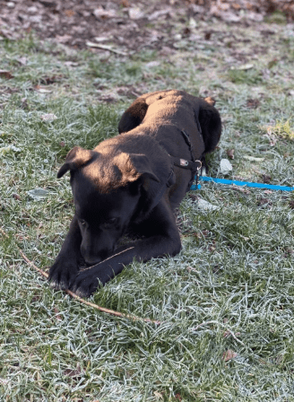 2026 01 23 18 39 15 Posteingang Sina.Rieke Kroeger@oetker.com Outlook