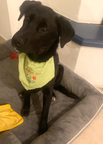 2026 01 23 18 39 19 Posteingang Sina.Rieke Kroeger@oetker.com Outlook