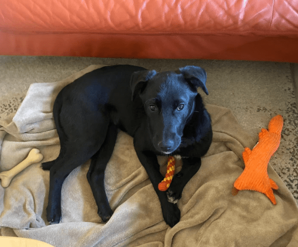 2026 01 23 18 39 23 Posteingang Sina.Rieke Kroeger@oetker.com Outlook