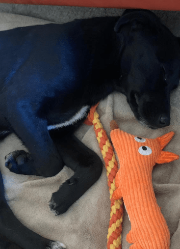 2026 01 23 18 39 28 Posteingang Sina.Rieke Kroeger@oetker.com Outlook