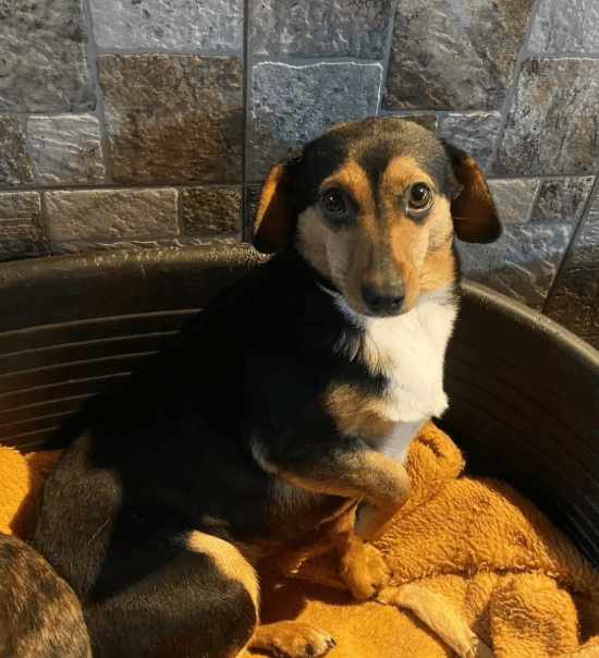 2026 01 26 10 44 58 Posteingang Sina.Rieke Kroeger@oetker.com Outlook