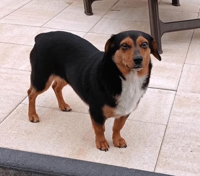 2026 01 26 10 45 02 Posteingang Sina.Rieke Kroeger@oetker.com Outlook