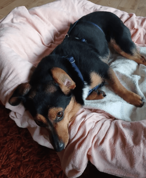 2026 01 26 10 45 10 Posteingang Sina.Rieke Kroeger@oetker.com Outlook