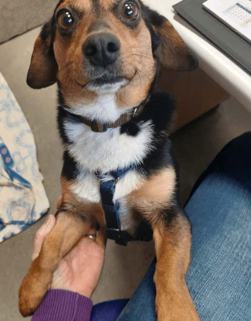 2026 01 26 10 45 15 Posteingang Sina.Rieke Kroeger@oetker.com Outlook