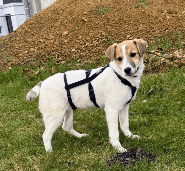 2026 01 26 10 50 10 Posteingang Sina.Rieke Kroeger@oetker.com Outlook