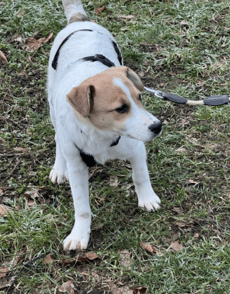 2026 01 26 10 50 14 Posteingang Sina.Rieke Kroeger@oetker.com Outlook