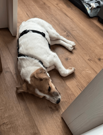 2026 01 26 10 50 18 Posteingang Sina.Rieke Kroeger@oetker.com Outlook