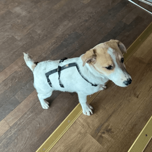 2026 01 26 10 50 25 Posteingang Sina.Rieke Kroeger@oetker.com Outlook