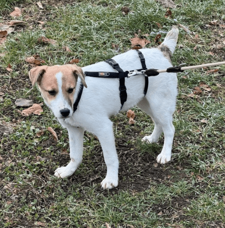 2026 01 26 10 50 32 Posteingang Sina.Rieke Kroeger@oetker.com Outlook