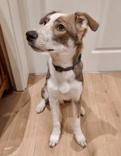 2026 02 13 11 15 19 SMC2SAPEmarsys Process Description.pptx PowerPoint