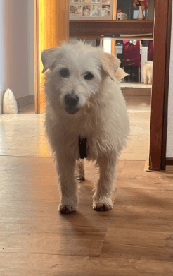 2026 02 13 11 20 27 SMC2SAPEmarsys Process Description.pptx PowerPoint