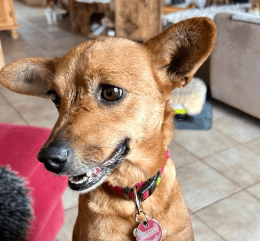 2026 02 25 12 36 22 Implementation Partner Search – Datei Explorer