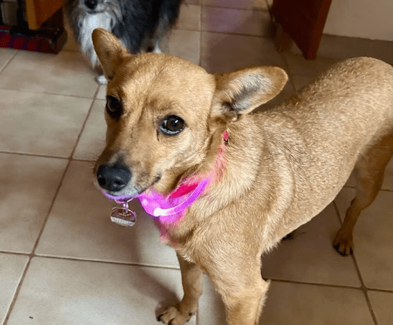 2026 02 25 12 36 27 Implementation Partner Search – Datei Explorer