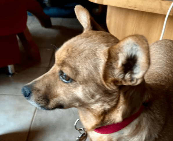 2026 02 25 12 36 30 Implementation Partner Search – Datei Explorer