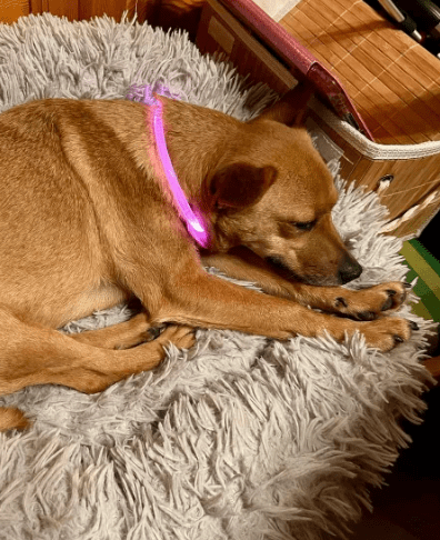 2026 02 25 12 36 38 Implementation Partner Search – Datei Explorer