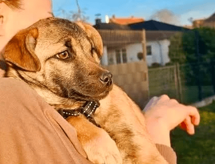 2026 03 09 11 35 29 Posteingang Sina.Rieke Kroeger@oetker.com Outlook