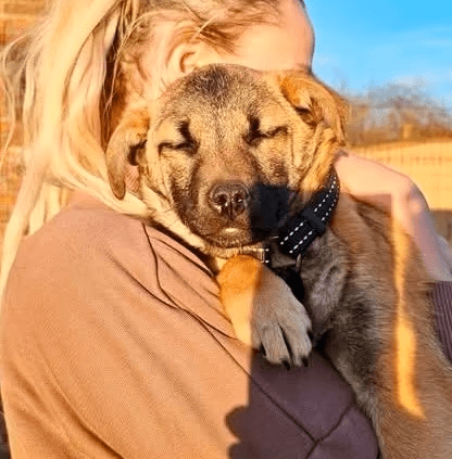 2026 03 09 11 35 34 Posteingang Sina.Rieke Kroeger@oetker.com Outlook