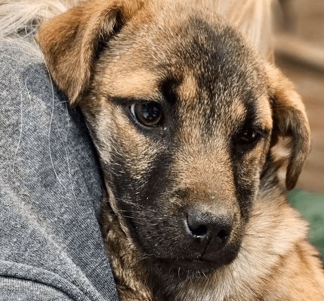 2026 03 09 11 35 37 Posteingang Sina.Rieke Kroeger@oetker.com Outlook