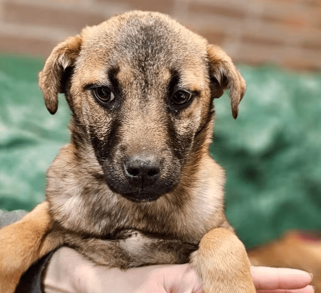 2026 03 09 11 35 41 Posteingang Sina.Rieke Kroeger@oetker.com Outlook