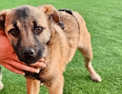 2026 03 09 11 35 46 Posteingang Sina.Rieke Kroeger@oetker.com Outlook