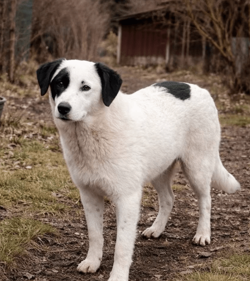 2026 04 06 15 06 02 Posteingang Sina.Rieke Kroeger@oetker.com Outlook