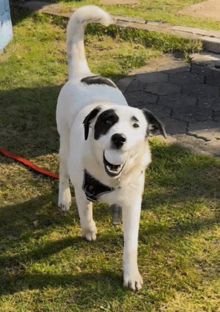 2026 04 06 15 06 08 Posteingang Sina.Rieke Kroeger@oetker.com Outlook