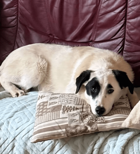 2026 04 06 15 06 12 Posteingang Sina.Rieke Kroeger@oetker.com Outlook