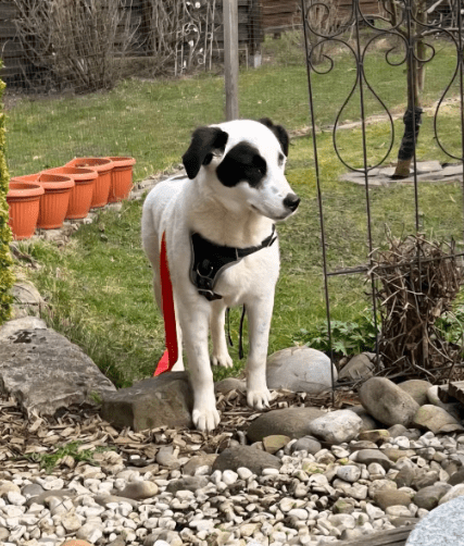 2026 04 06 15 06 16 Posteingang Sina.Rieke Kroeger@oetker.com Outlook