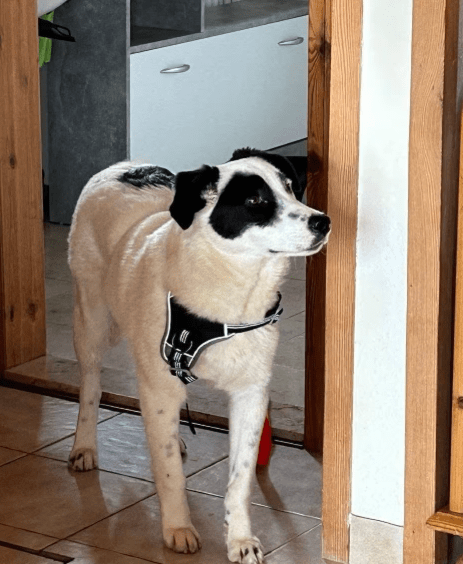 2026 04 06 15 06 20 Posteingang Sina.Rieke Kroeger@oetker.com Outlook