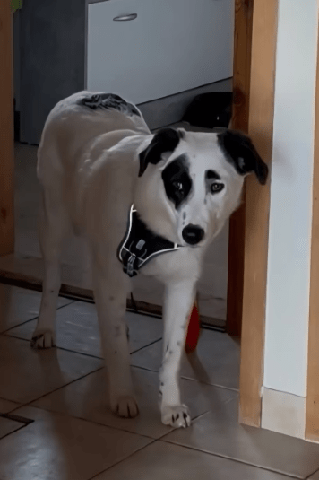 2026 04 06 15 06 23 Posteingang Sina.Rieke Kroeger@oetker.com Outlook