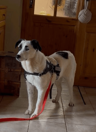 2026 04 06 15 06 33 Posteingang Sina.Rieke Kroeger@oetker.com Outlook