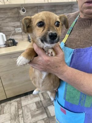 503434000 1765747990748361 5778650527818871293 n