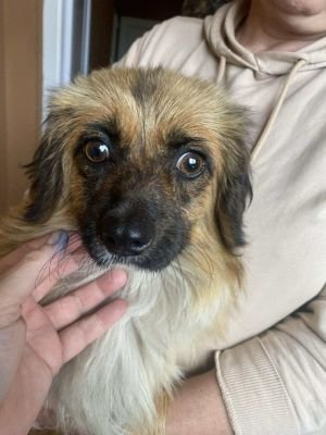 551364137 1337208811226691 8860032495916721581 n