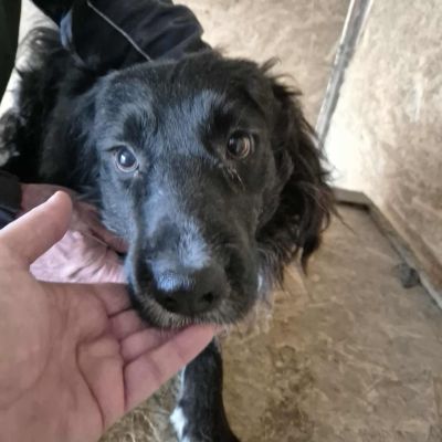 551393643 1832246181015114 4604328821668016904 n