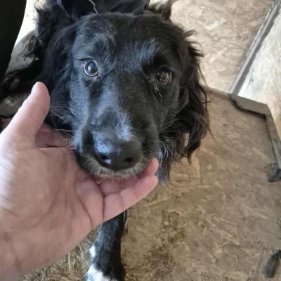 551736780 1921204991793085 6277956549152262385 n