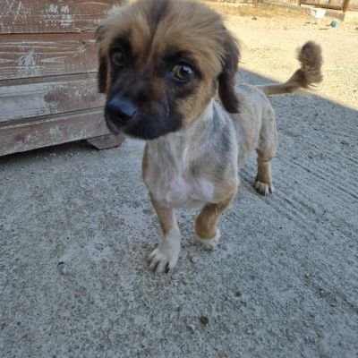 551852016 4347491448815959 539270395992908996 n