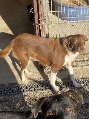 553595449 1216647983631598 5093126016579085624 n