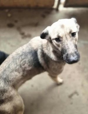 553656925 1426272642433554 1710653299553232603 n