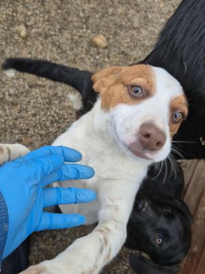 553656925 3851708425121125 5701075644913385844 n