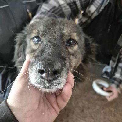 553716054 793866623638367 2842068603243509230 n