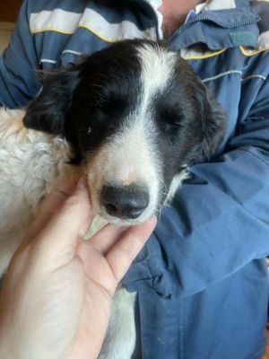 553756987 2853166441543358 465404650934558094 n