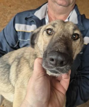 553804923 1435646977532891 2963839165345907919 n